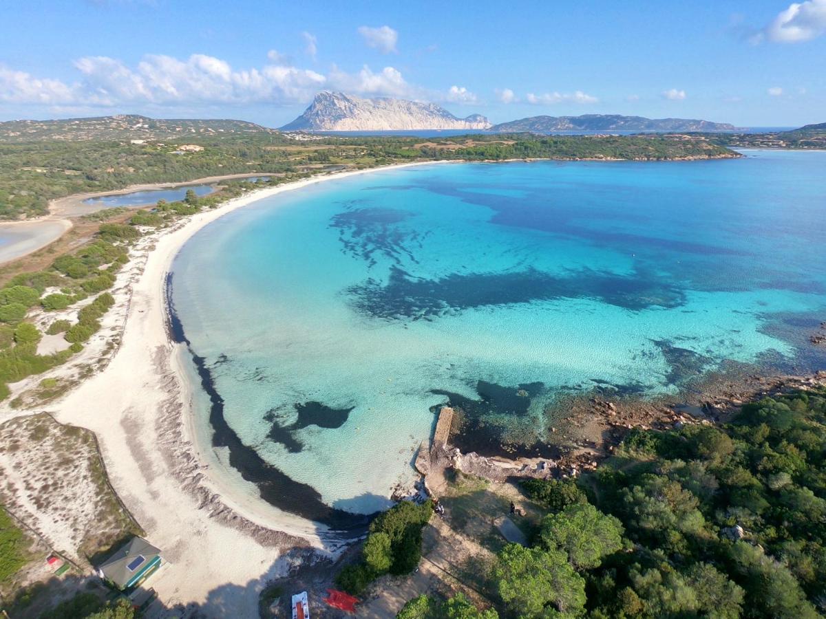 Iss Travel, Villa Fiorita - 800 M From La Cinta Beach Сан-Теодоро Экстерьер фото